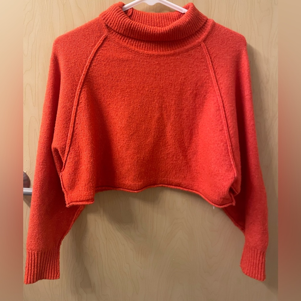 Soft crop long sleeve turtle neck
